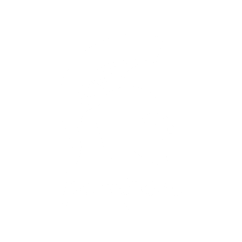 Michigan State University Pompon